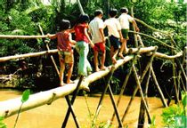 Monkey bridge - Dong Thap
