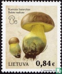 Mushrooms 