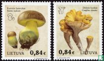 Mushrooms