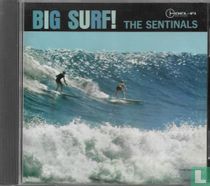 Big Surf!