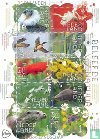 Erleben Sie die Natur - De Onlanden kaufen