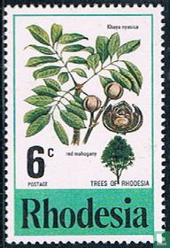  Flowering Trees