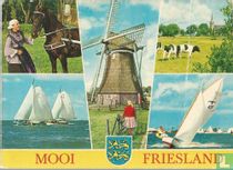 Mooi Friesland