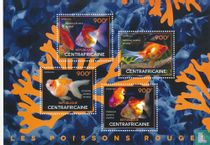 Poisson rouge