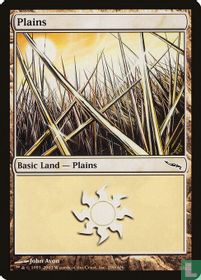 Plains