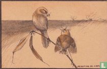 6. KLEINE KAREKIET. (Acrocephalus strepera)