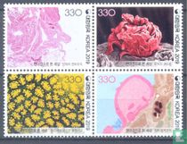 world science