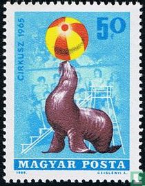 Circus