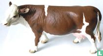 Simmental Koe