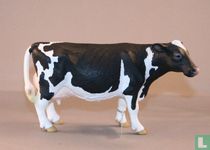 Holstein koe