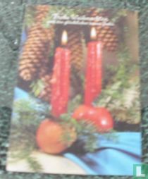 Frohe Weihnachten und ein glückliches Neues Jahr