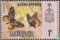 Papillons