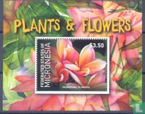 Plants and flowers