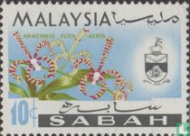 Orchids