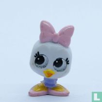 Daisy