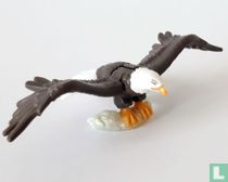 Adler