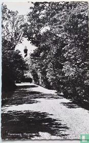 Torenweg , Haamstede-Burgh