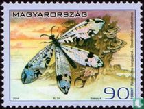 Insects