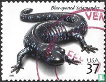 Reptiles et amphibiens