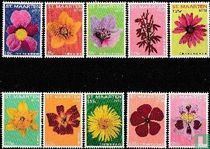 Des fleurs