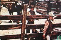 High Chaparral