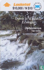 Detras De La Palabra Ecología