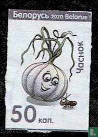 Garlic