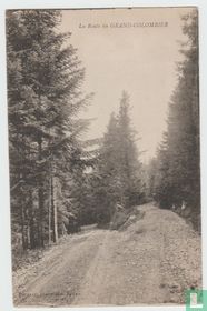 France Ain La Route du grand Colombier Postcard