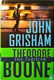 Theodore Boone The Fugitive
