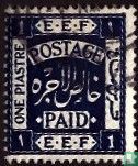 EEF Egyptian Expeditionary Force.