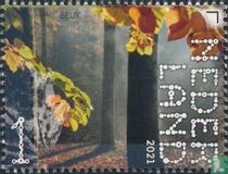 Buche kaufen
