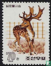 Le zoo de Pyongyang 