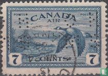 Canadese gans