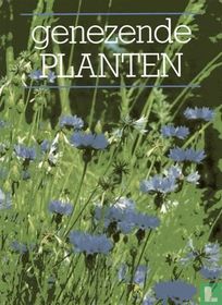 Genezende planten