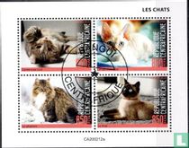 Cats