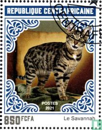 savannah cats