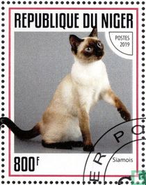 Cats