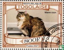 Les chats