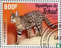 Les chats