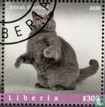 Cats