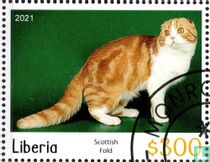 Chats