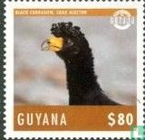 Oiseau