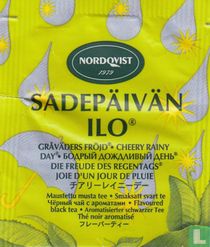 Sadepäivän Ilo [r]