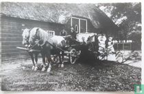 Zuid-Beveland,Zeeuwse hofstede