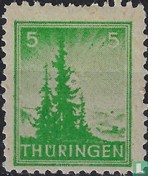 Pine trees