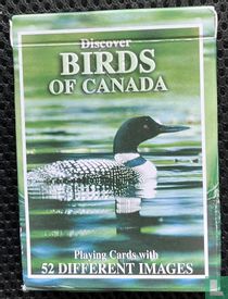 Discover Birds of Canada