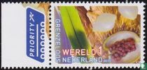 Pays-Bas sans limites - Suriname