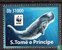 Sperm whale