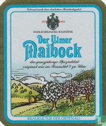 Ulmer Maibock