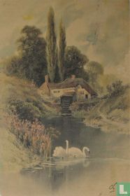 Boerderij met zwanen